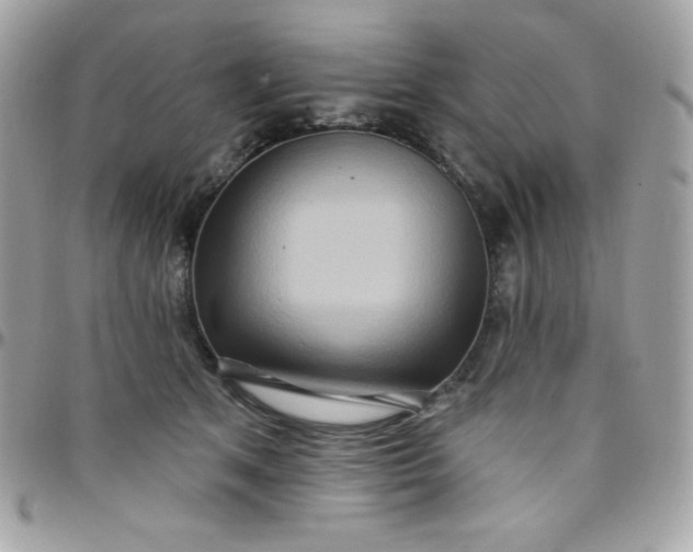 X0000097750513200803211654