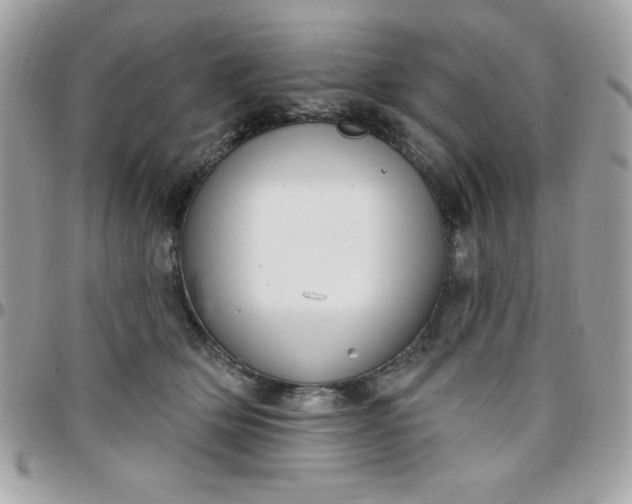 X0000097750514200803211654