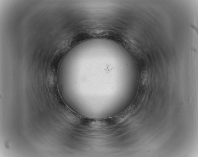 X0000097750515200803211654