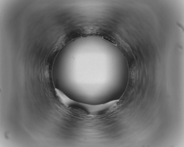 X0000097750516200803211654