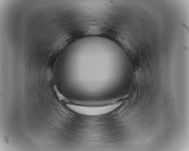 X0000097750517200803211654