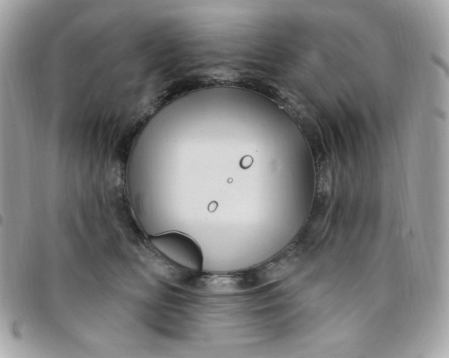 X0000097750518200803211654