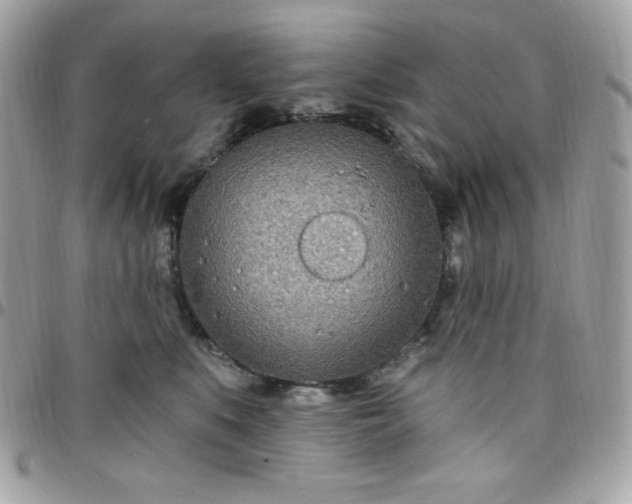 X0000097750519200803211654