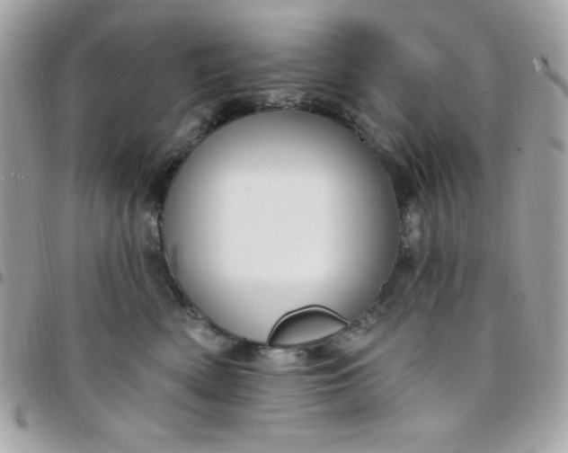 X0000097750522200803211654