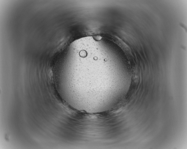 X0000097750523200803211654