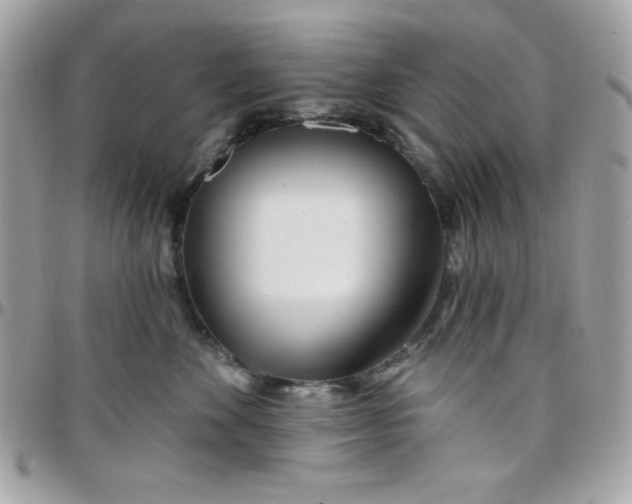 X0000097750524200803211654