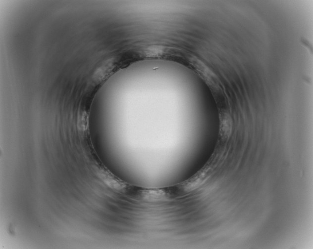 X0000097750525200803211654