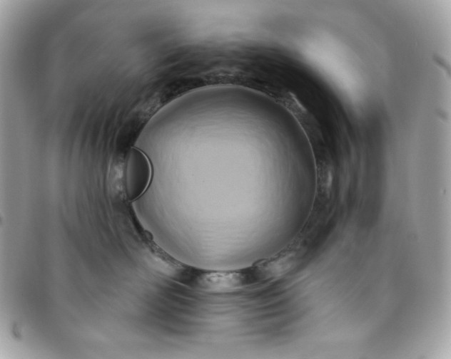 X0000097750526200803211654