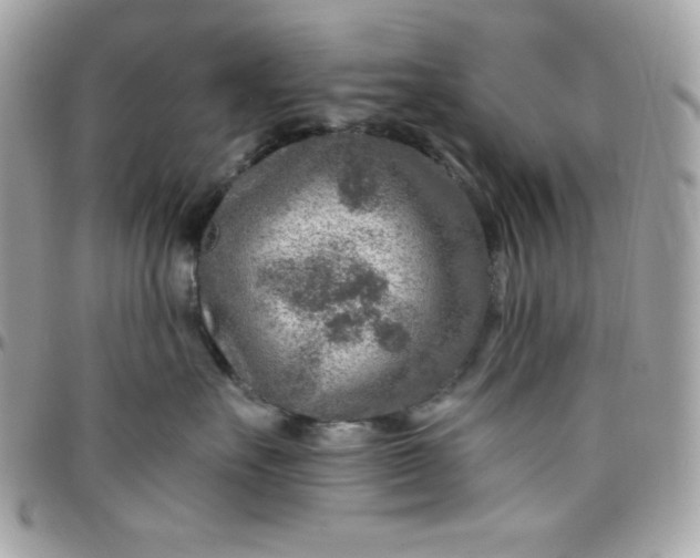 X0000097750527200803211654