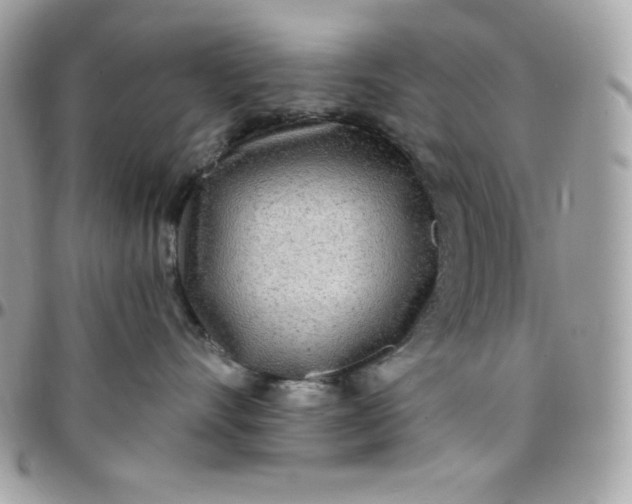 X0000097750528200803211654