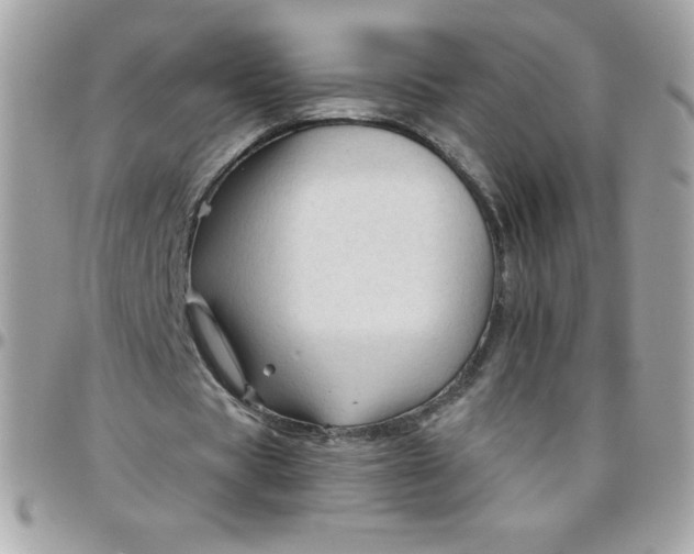 X0000097750529200803211654