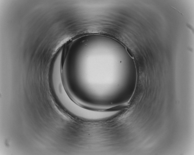 X0000097750530200803211654