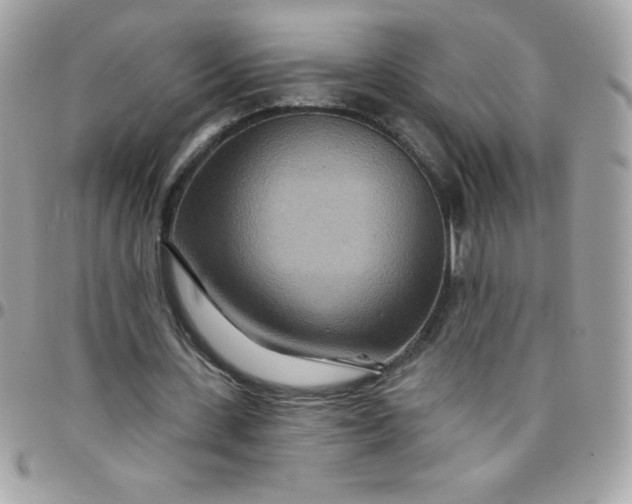 X0000097750531200803211654