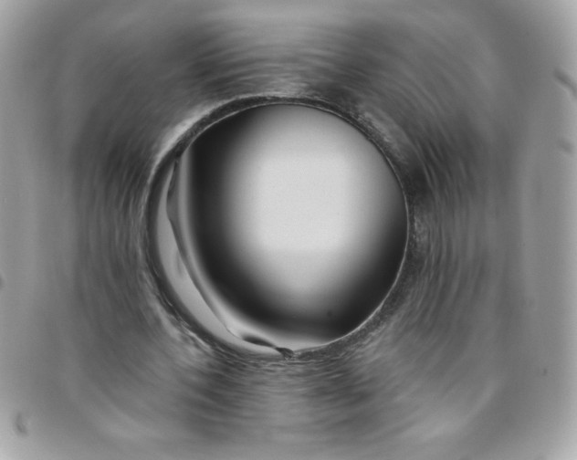 X0000097750532200803211654