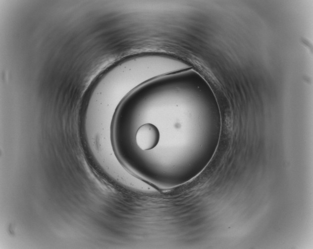 X0000097750534200803211654