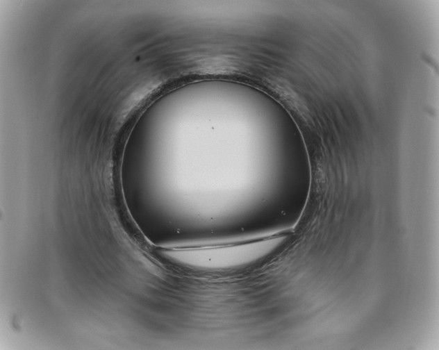 X0000097750535200803211654