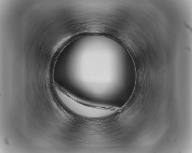 X0000097750536200803211654