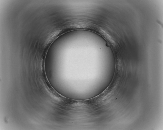 X0000097750537200803211654