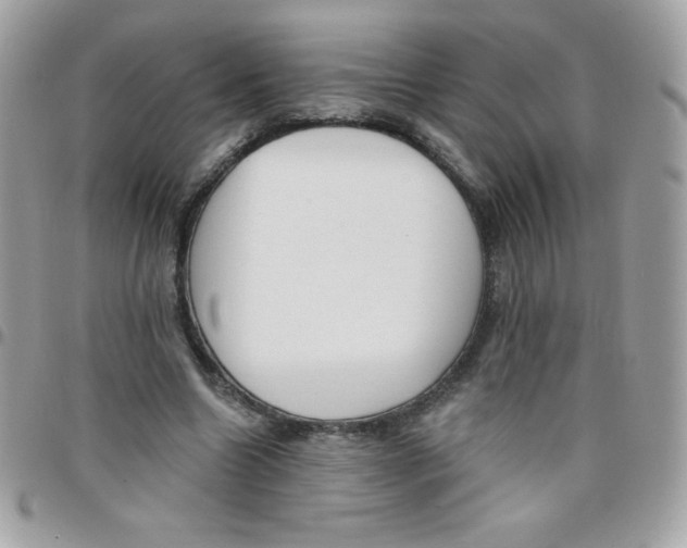 X0000097750538200803211654