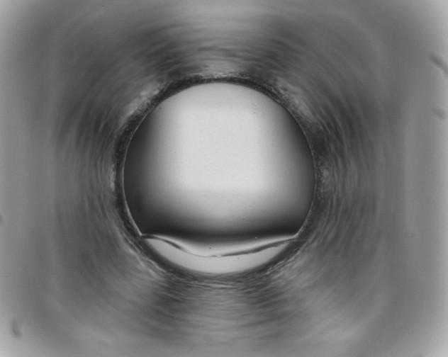 X0000097750539200803211654