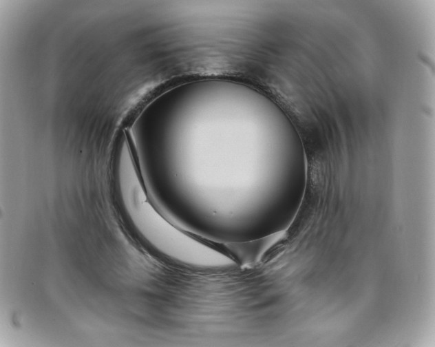 X0000097750540200803211654