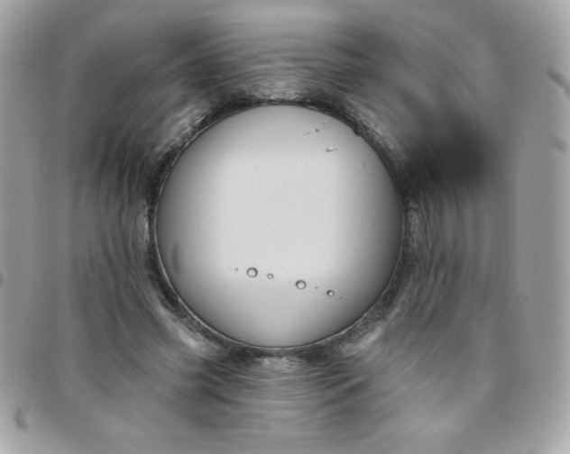 X0000097750541200803211654