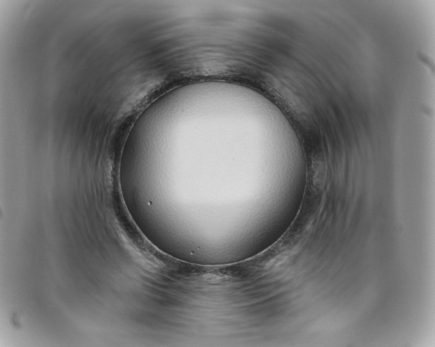 X0000097750542200803211654