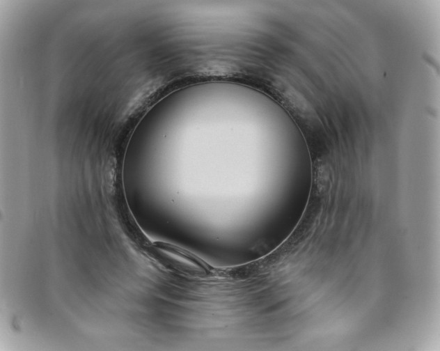 X0000097750544200803211654