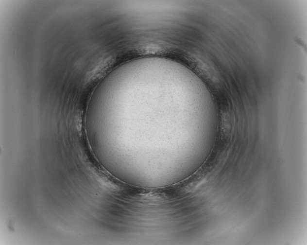 X0000097750545200803211654