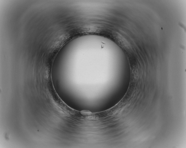 X0000097750546200803211654