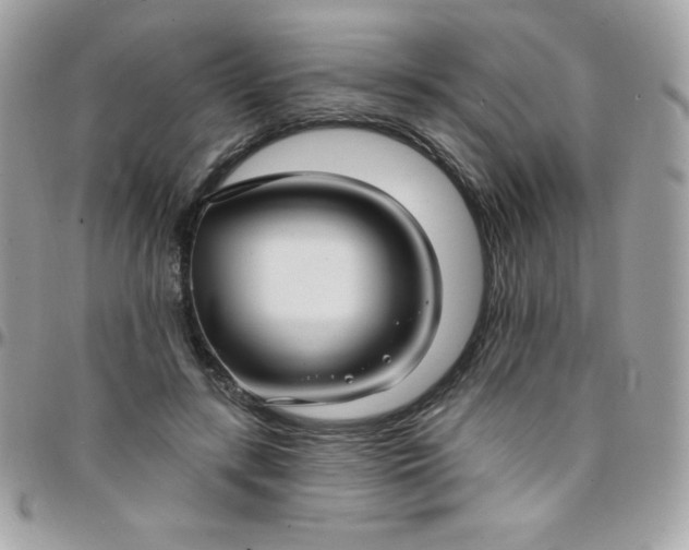 X0000097750547200803211654