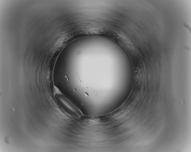 X0000097750548200803211654