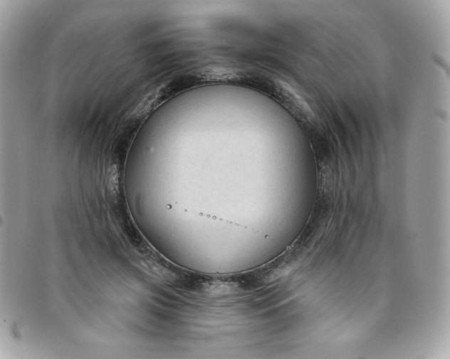 X0000097750549200803211654