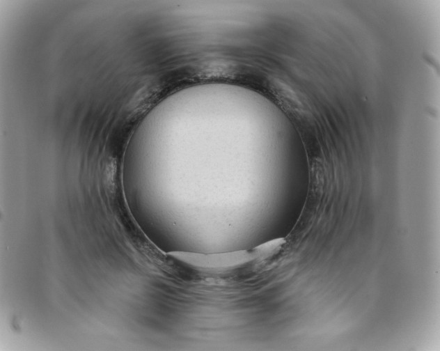 X0000097750550200803211654