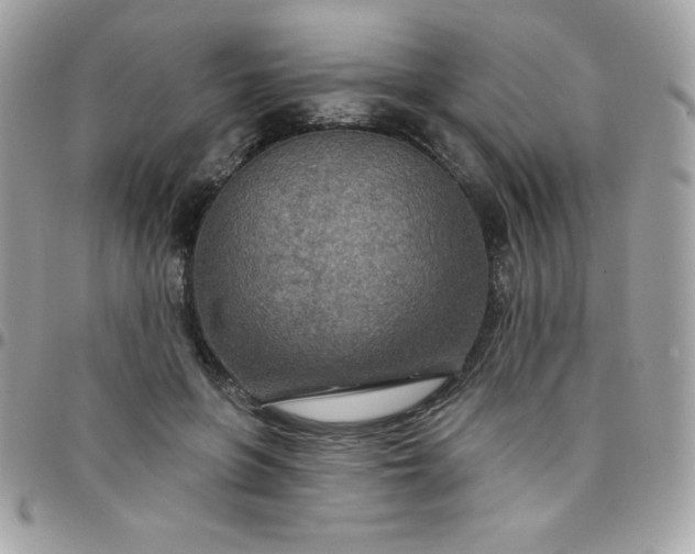 X0000097750551200803211654