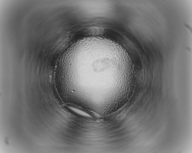 X0000097750553200803211654