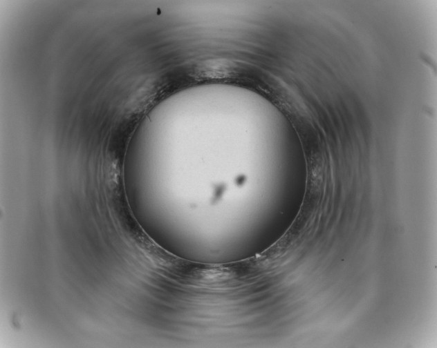 X0000097750555200803211654