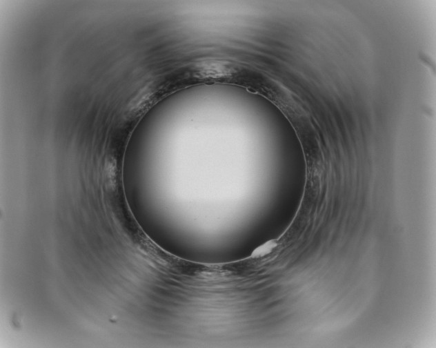 X0000097750556200803211654