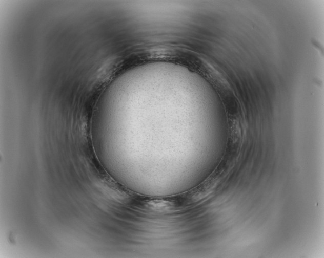 X0000097750557200803211654