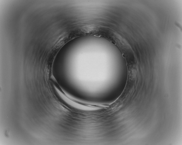 X0000097750558200803211654