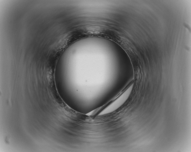 X0000097750559200803211654