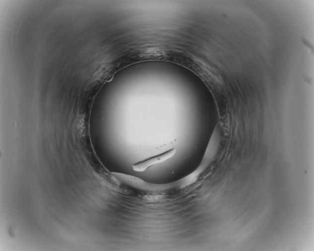 X0000097750560200803211654