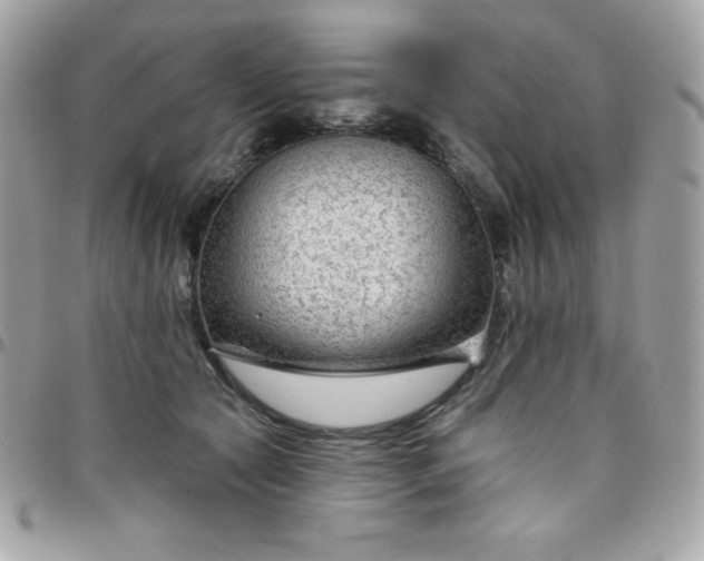 X0000097750561200803211654