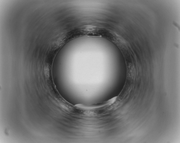 X0000097750562200803211654