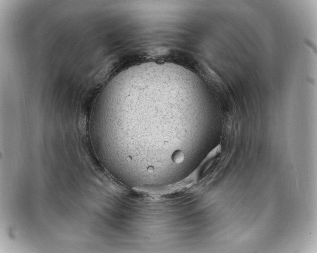 X0000097750565200803211654