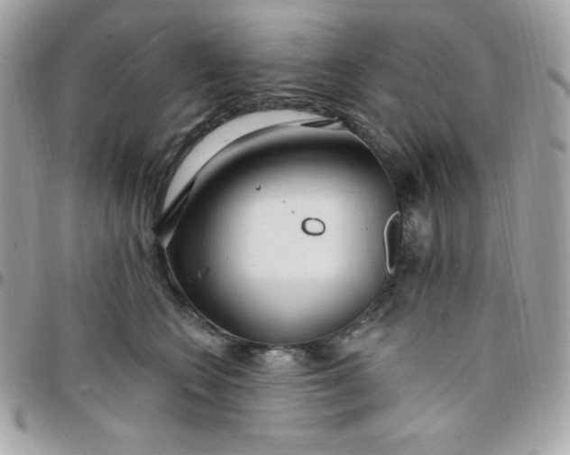 X0000097750566200803211654