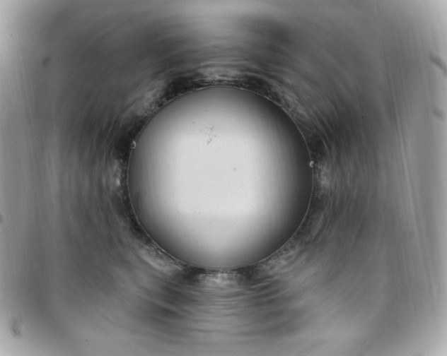 X0000097750567200803211654