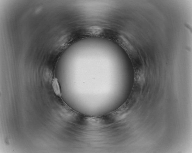 X0000097750568200803211654