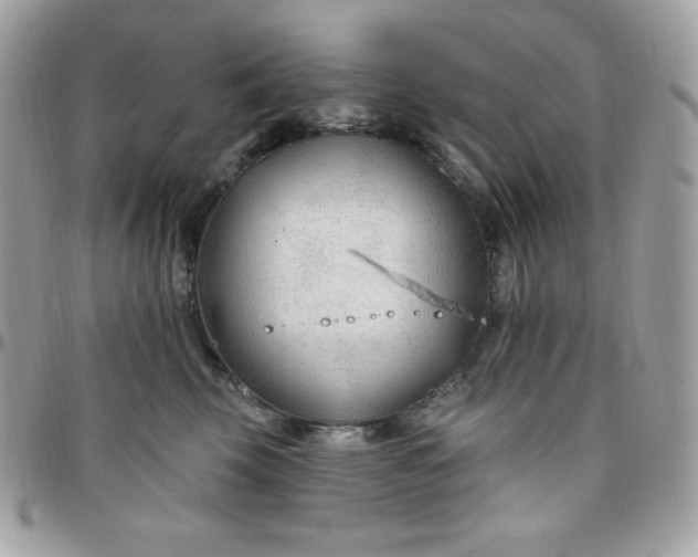 X0000097750569200803211654