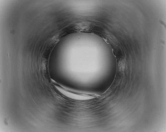 X0000097750570200803211654